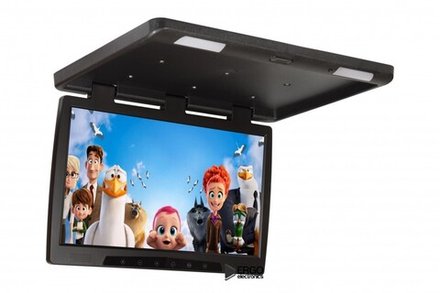 Монитор потолочный - ERGO ER22H с экраном 22” (LCD 1680x1050) черный