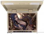 Монитор потолочный - ERGO ER22H с экраном 22” (LCD 1680x1050) бежевый
