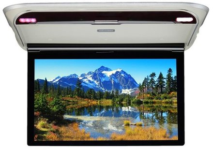 Монитор потолочный - ERGO ER17M с экраном 17.3” (1920х1080 FullHD) серый