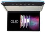 Монитор потолочный - ERGO ER1330AN-OLED с экраном 13,3” (1920х1080 OLED FullHD, смарт ТВ, ) серый