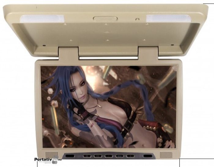Монитор потолочный - ERGO ER22H с экраном 22” (LCD 1680x1050) бежевый