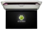 Монитор потолочный - ERGO ER15AFL с экраном 17.3” (1920х1080 FullHD, Android, ) серый