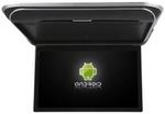 Монитор потолочный - ERGO ER15AFL с экраном 17.3” (1920х1080 FullHD, Android, ) черный