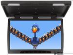Монитор потолочный - ERGO ER22H с экраном 22” (LCD 1680x1050) черный