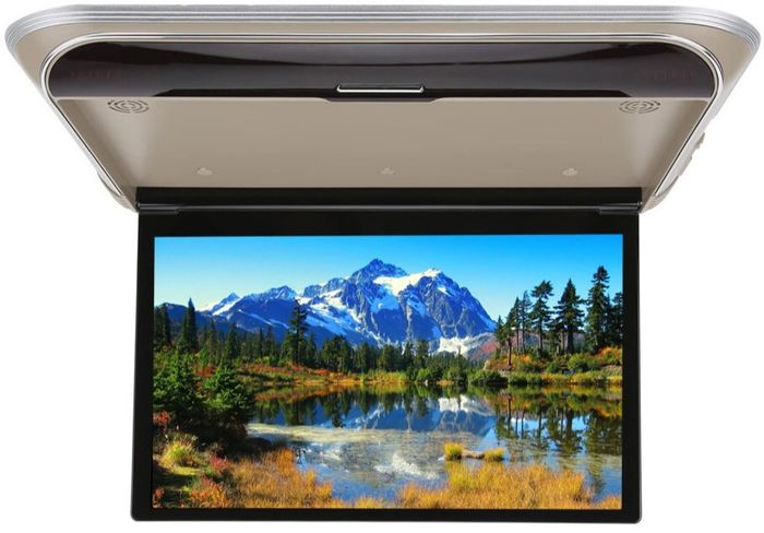 Монитор потолочный - ERGO ER17M с экраном 17.3” (1920х1080 FullHD) бежевый