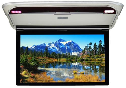 Монитор потолочный - ERGO ER17M с экраном 17.3” (1920х1080 FullHD) серый