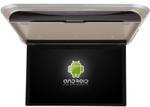 Монитор потолочный - ERGO ER1750AN с экраном 17.3” (1920х1080 FullHD, Android, ) бежевый
