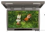 Монитор потолочный - ERGO ER22H с экраном 22” (LCD 1680x1050) серый